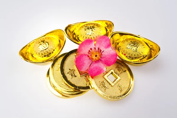 Kinesiska nyåret - rikedom ornament — Stockfoto