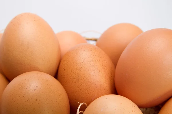 Hnědá vejce v kovový koš closeup ii — Stock fotografie