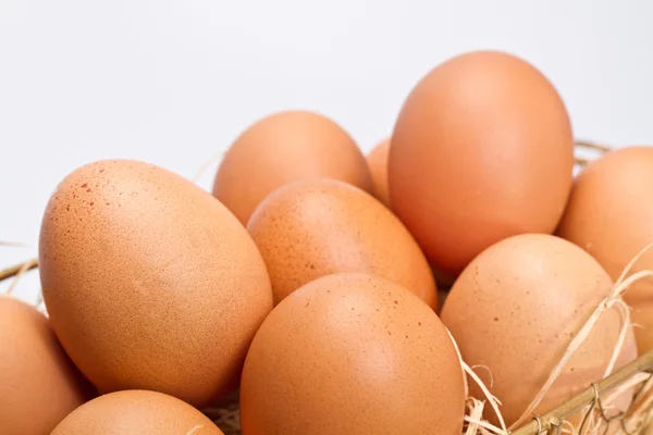 Hnědá vejce v kovový koš closeup iii — Stock fotografie