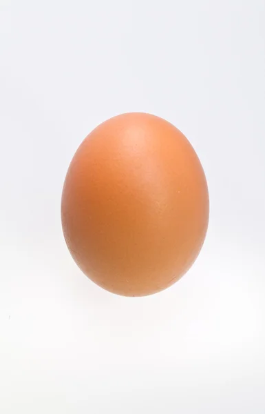 Ei auf weißem Hintergrund — Stockfoto