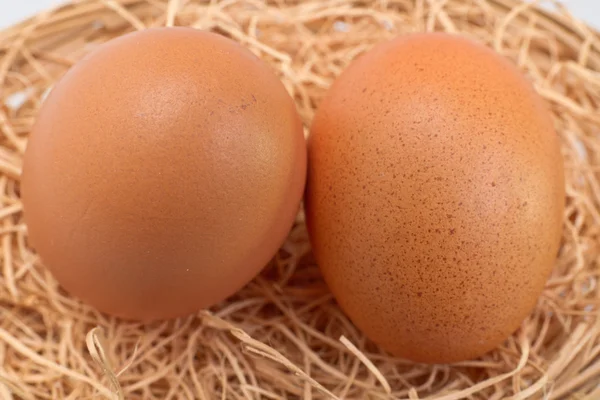 两个蛋在稻草床上用品 — 图库照片