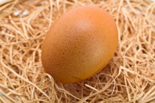Hnědá vejce na slaměné podestýlky — Stock fotografie