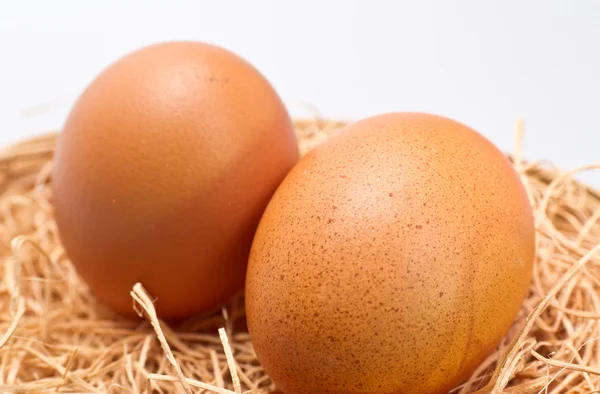 Közeli kép: tojás — Stock Fotó