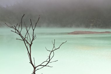 Fogy Lake and Tree Branch clipart