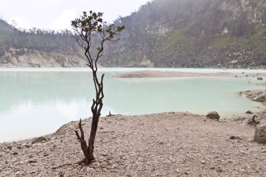 Kawah Putih Bandung