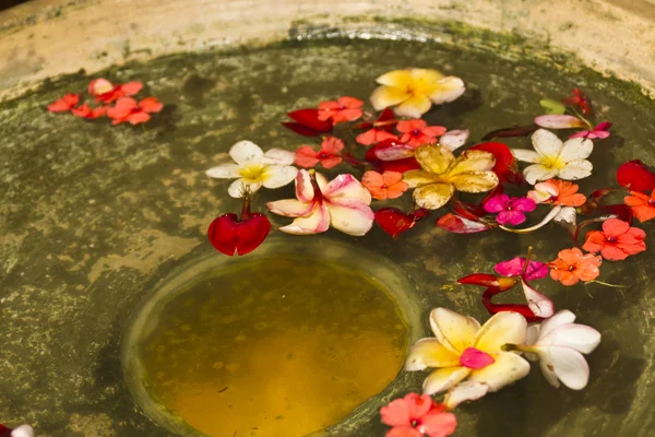 Pétales de fleurs dans un bol d'eau — Photo