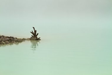 Dead Tree At Volcanic Crater Lake clipart