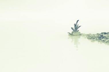 Foggy Lake clipart