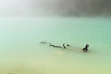 sisli göl dalgaların karaya attığı odun
