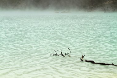 sisli göl dalgaların karaya attığı odun