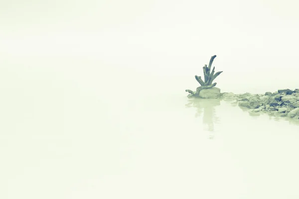Lago nebuloso — Fotografia de Stock