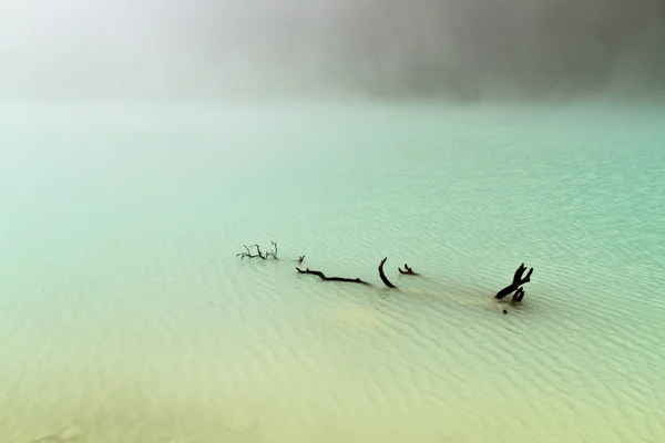 Legname da deriva nel lago di Foggy — Foto Stock