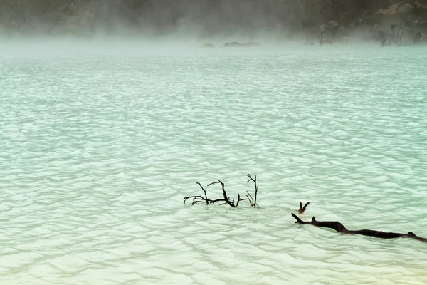 Driftwood in Foggy Lake — Stock Photo, Image