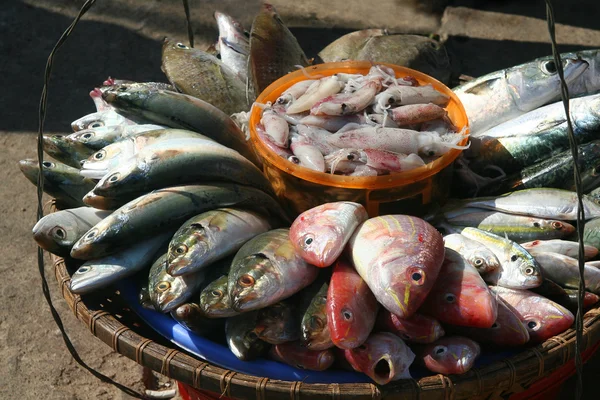 stock image Seafood at the fish market