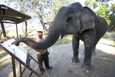 Elephant Painting in Nepal clipart