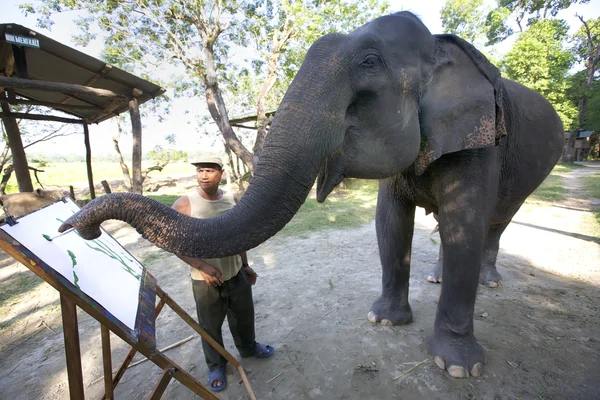 stock image Elephant Painting in Nepal