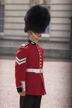 Buckingham Sarayı Muhafızlar