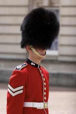 Buckingham Palace Guard clipart
