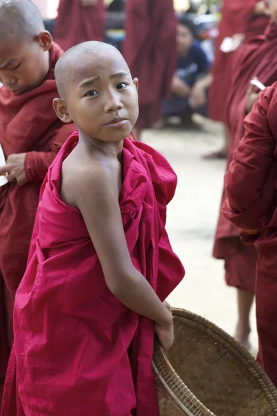 Újonc szerzetes Mianmar — Stock Fotó