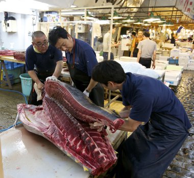 Tsukiji Balık pazarı tokyo Japonya