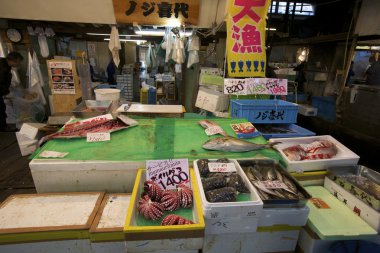 Tsukiji Balık pazarı tokyo Japonya