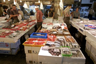 Tsukiji Seafood Market Tokyo Japan clipart