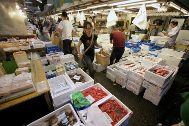Tsukiji Balık pazarı tokyo Japonya