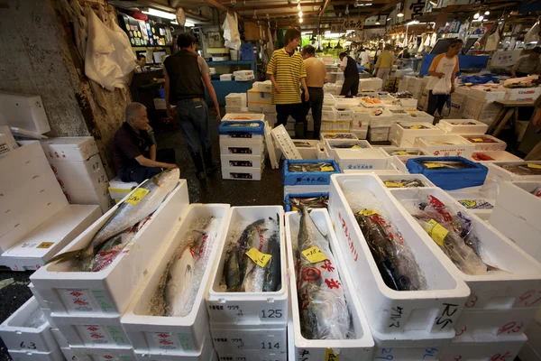 Морепродукти Tsukiji ринок Токіо — стокове фото
