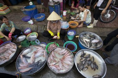 Ho chi minh sokak venfor