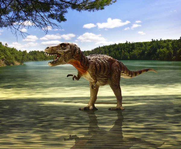 Tyranozaur poszukuje żywności — Zdjęcie stockowe