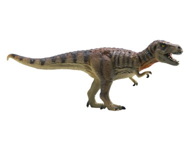 Tyrannosaurus-rex isolated on white background clipart