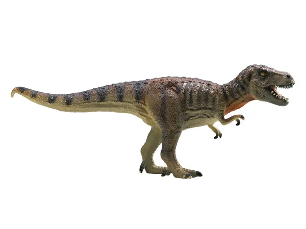 Тираннозавр-рекс изолирован на белом фоне — стоковое фото