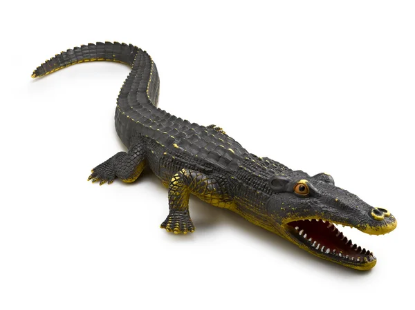 Крокодил на белом фоне — стоковое фото