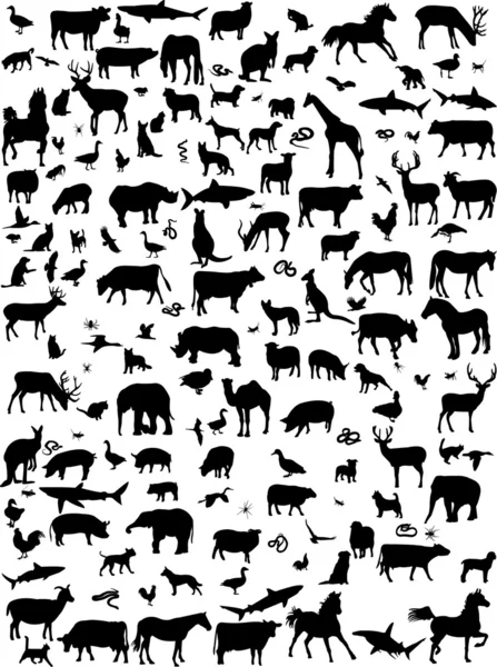Mix animals silhouette — Stock Vector