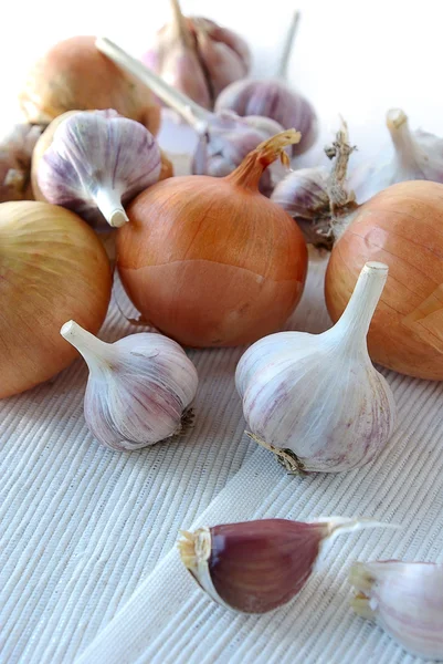 stock image Garlic and onion