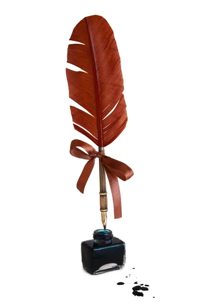 Feather quill — Stock Photo, Image