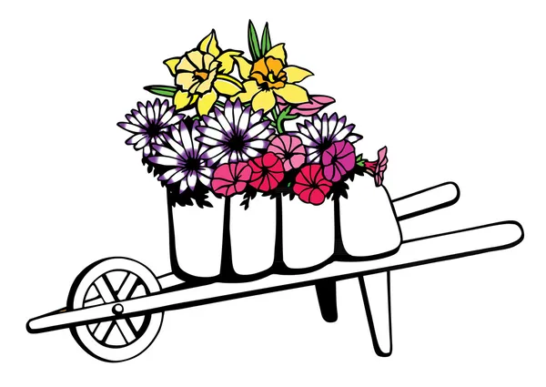Wheelbarrow full of flowers — Stock Vector
