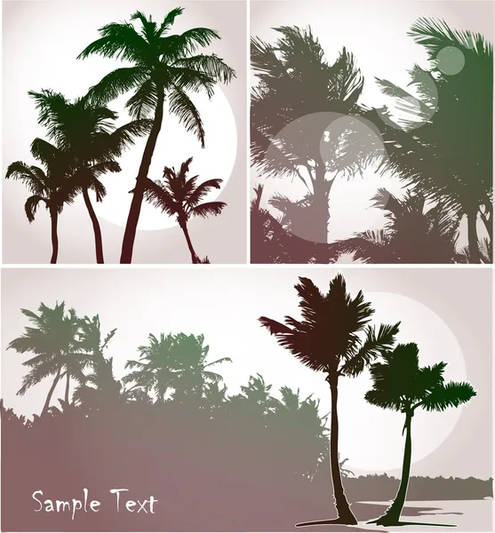 Palm trees, collection — Stock Illustration Palm trees, collection Vector Graphics