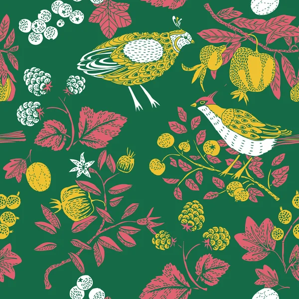 Illustration colorée des feuilles, fruits et oiseaux — Image vectorielle