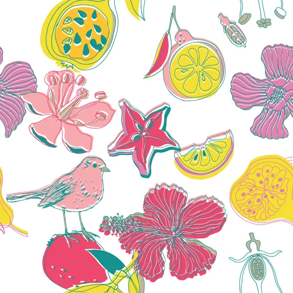Pájaro, flores y varias frutas — Archivo Imágenes Vectoriales