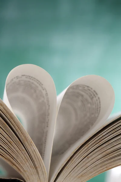 stock image Close up of the pages of the book folded in the heart shape