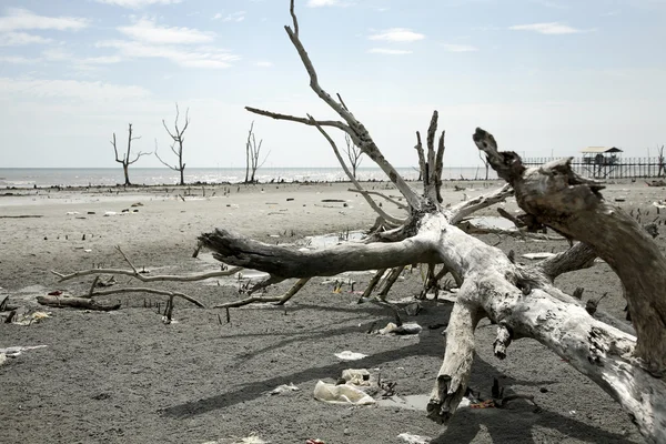 Immagine stock del danno ambientale — Foto Stock