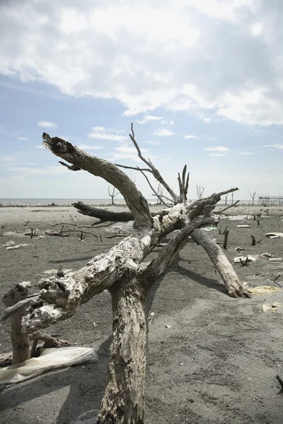 Imagem de estoque do dano ambiental — Fotografia de Stock