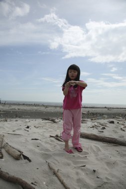 dağınık beach