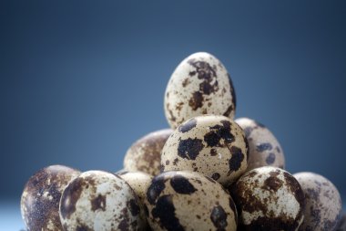 Quail eggs clipart