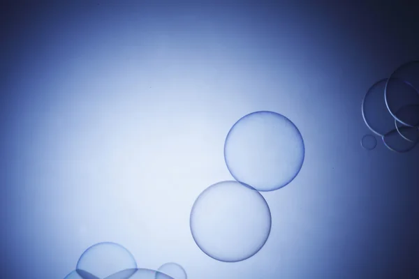 Mýdlová bublina — Stock fotografie