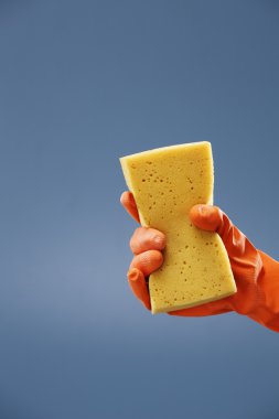 Cleaning sponge clipart