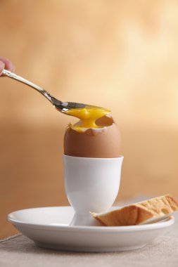 stok görüntü yumurta