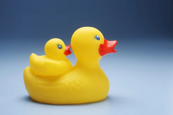 stock image Rubber ducks