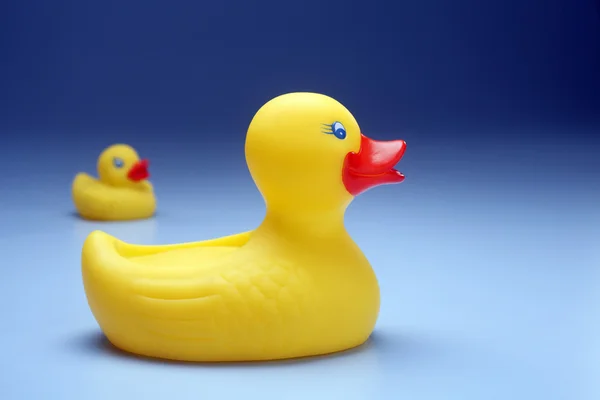 Patos de borracha — Fotografia de Stock